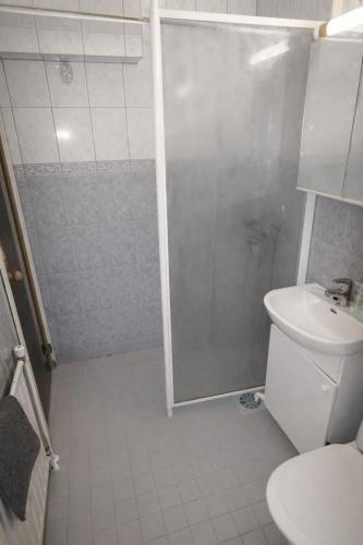 a bathroom with a shower and a toilet and a sink at 1-Bedroom Apartment with Sauna in Heinola