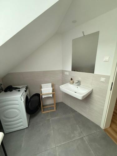 a bathroom with a sink and a washing machine at ღLIBORIA I Loft am Riegsee in Aidling