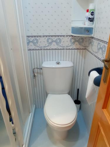 a bathroom with a white toilet in a small room at Delfines Solo Familias Serviplaya in Playa de Xeraco