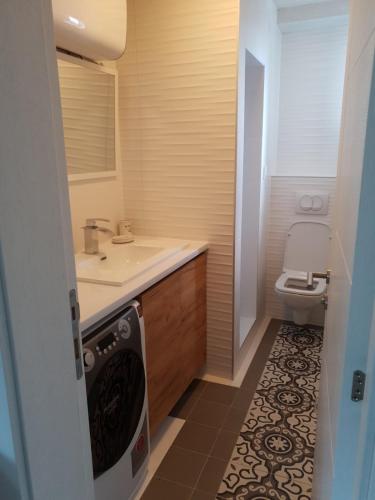 a bathroom with a sink and a toilet at Alo Alo Apartman 5 in Kruševac