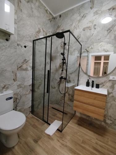 a bathroom with a shower and a toilet and a sink at 369 Apartments in Belgrade