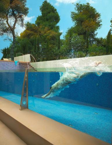 a dolphin is swimming in a swimming pool at Life Gallery Athens in Athens