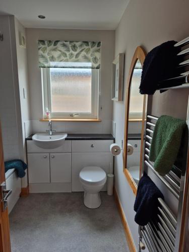 a small bathroom with a toilet and a sink at The Studio in Drumnadrochit