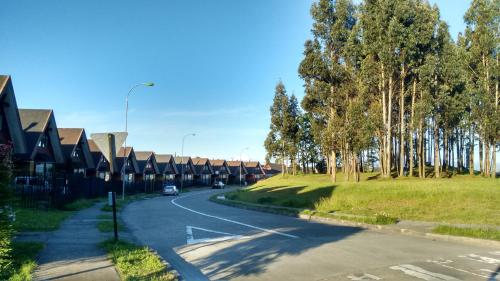 una calle con árboles al lado de una carretera en Departamentito Austral, en Puerto Montt