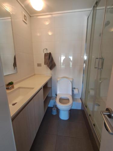 a bathroom with a toilet and a shower at Plaza ñuñoa in Santiago