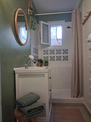 a bathroom with a sink and a shower at Ch'ti Camargue in Port-Saint-Louis-du-Rhône