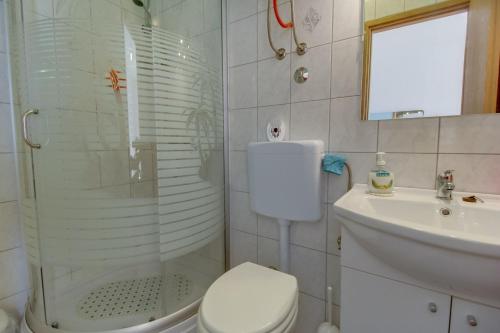 a bathroom with a shower and a toilet and a sink at Apartments Tasha in Štivan