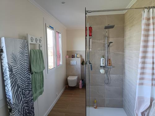 a bathroom with a shower with a glass door at L'Oustal in Saint-Constant