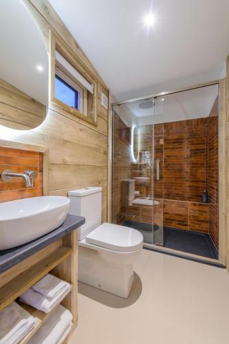 a bathroom with a toilet and a sink and a shower at Killarney Glamping - Ross Road in Killarney