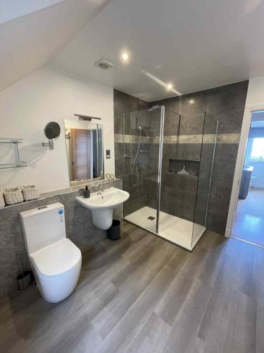 a bathroom with a toilet and a sink and a shower at Apartment in Banff in Banff