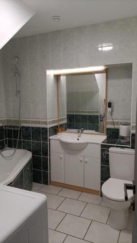 un bagno con un water, una vasca e un lavandino di Studio Couronne centrale Bourges a Bourges