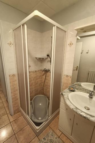 a bathroom with a shower with a toilet and a sink at La bellevue in Lapeyrugue