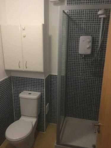 a small bathroom with a toilet and a shower at Gorgeous Marina 2 Bed Apartment in Portishead