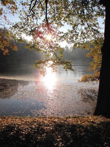a view of a body of water with the sun shining through a tree at Rivendell Apartments in Prague