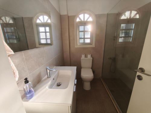 a bathroom with a sink and a toilet and a shower at Villa Koralia in Peyia