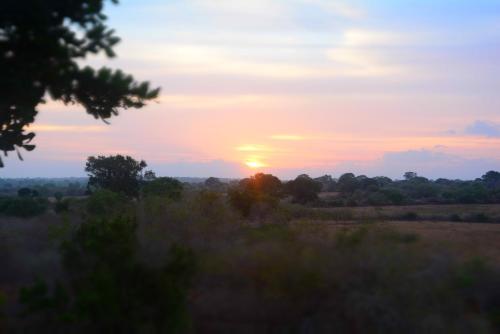 a sunset in a field with the sun setting at Yala Dream Park in Yala