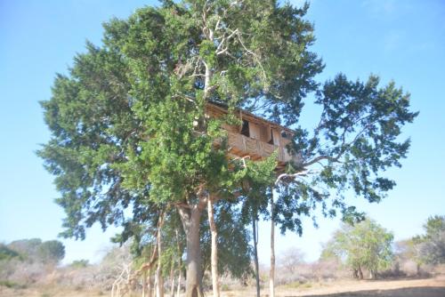 a tree house in the middle of some trees at Yala Dream Park in Yala