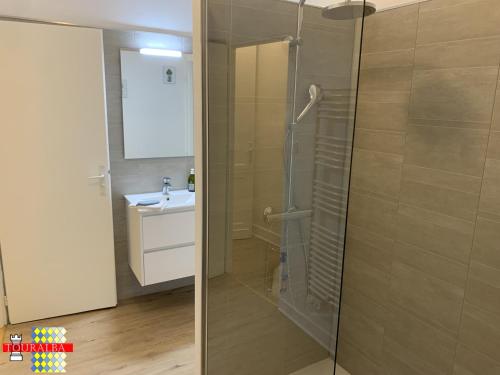 a bathroom with a shower and a sink at Barque Fleurie Maison Retro avec Jardin et Parking au coeur d'Aubeterre-sur-Dronne in Aubeterre-sur-Dronne