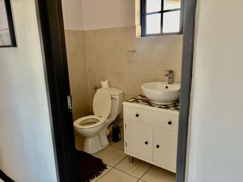 a bathroom with a toilet and a sink at 4 Laddswood Lodge in Hilton