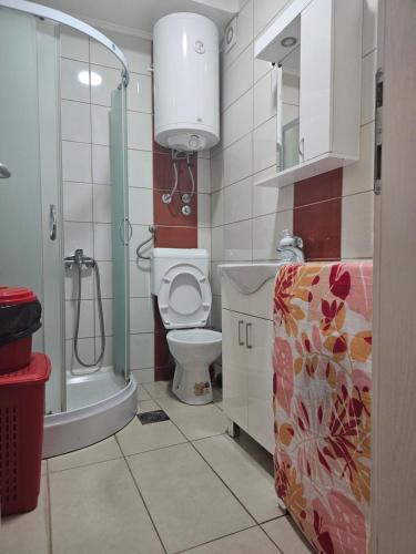 a small bathroom with a toilet and a shower at Apartman Borko 2-1 in Loznica
