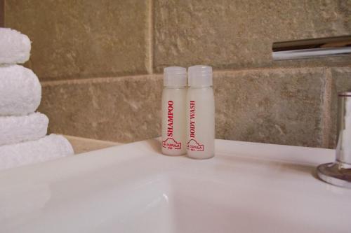 zwei Flaschen auf einem Waschbecken im Badezimmer in der Unterkunft Casa Irene in Teotitlán del Valle