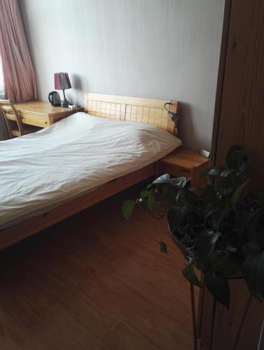 a bedroom with a bed and a potted plant at LETE Hostel in Xining
