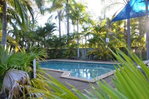 una piscina en un patio con palmeras en Leisure Tourist Park, en Port Macquarie