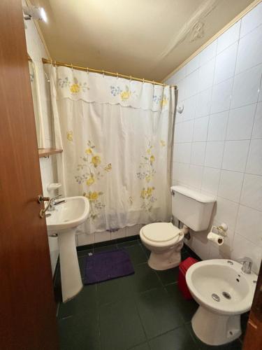 a bathroom with a toilet and a sink at Apart Hotel Alem in Ushuaia
