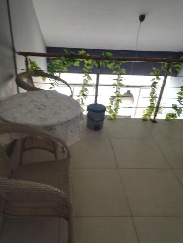 a table and chairs in a room with potted plants at LETE Hostel in Xining