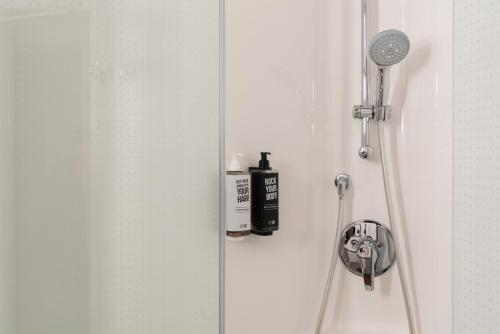 a shower in a bathroom with a shower head at ibis Genève Petit Lancy in Geneva