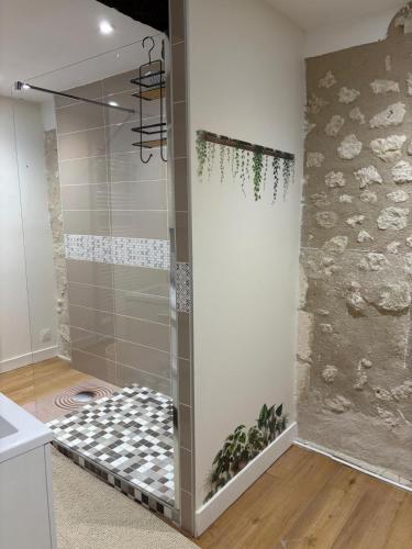 a shower with a glass door in a bathroom at gite 3 le havre in Aubeterre-sur-Dronne