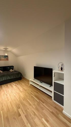 a living room with a flat screen tv and a bed at Cozy Studio Residenz Platz 1 near Neues Schloss Bayreuth in Bayreuth