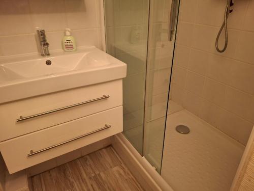 a bathroom with a sink and a shower at Appartement spacieux en duplex in Saint-Lary-Soulan