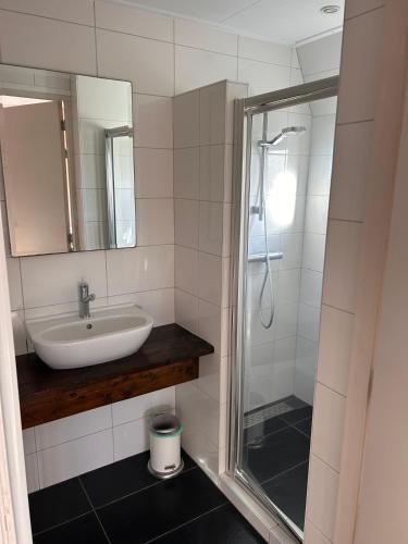 a bathroom with a sink and a shower at Appartement Halfweg in Ballum