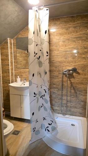 a bathroom with a shower with a shower curtain at Casa El Gringo in Tîrnăveni