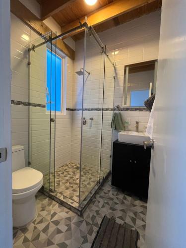 a bathroom with a shower and a toilet and a sink at Loft en Condesa in Mexico City