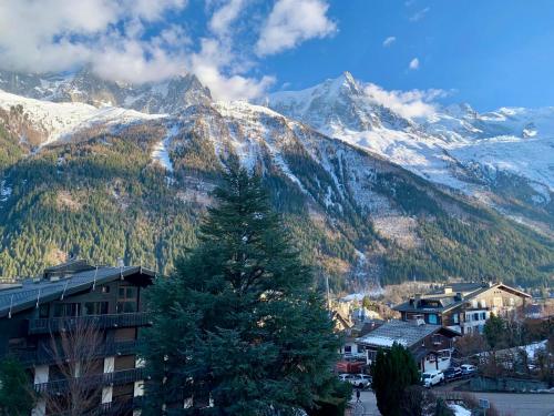 Superbe T3- Vue Mont-Blanc- Au pied du Brévent- Chamonix