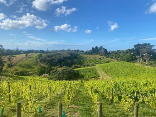 Stay on a cottage in a vineyard on Waiheke Island