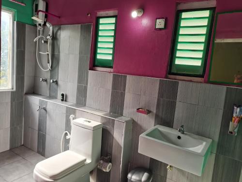 a bathroom with a toilet and a sink at Ceylon Traveller Homestay for Foreign Tourists in Panadura