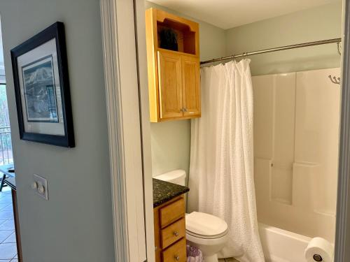 a bathroom with a toilet and a shower at Seaside 190 in Hilton Head Island