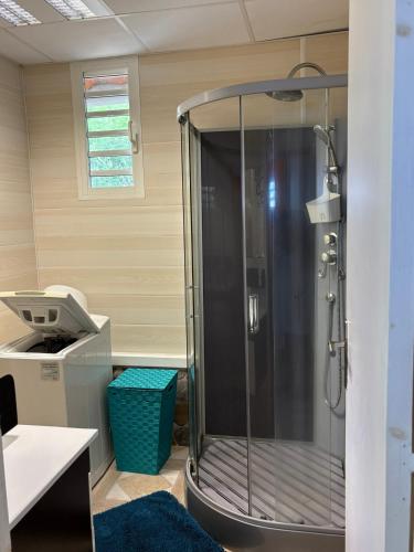 a shower with a glass door in a room at Habitations Amédée in Bouillante