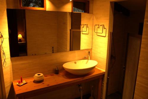 a bathroom with a white sink and a mirror at Estero El Claro Hotel y Cabañas in Pucón
