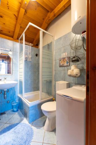 a bathroom with a toilet and a shower and a sink at Studio Zavala in Zavala