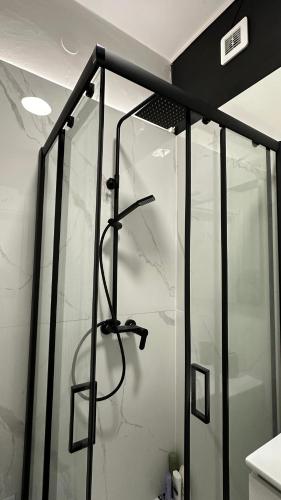 a shower with a glass door in a bathroom at Esclusive Spa Suite in Comacchio