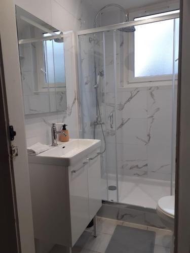 a white bathroom with a sink and a shower at Cosy 3 pièces Strasbourg in Schiltigheim