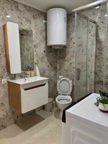 a bathroom with a toilet and a sink and a shower at Bulatović in Ðuranovići