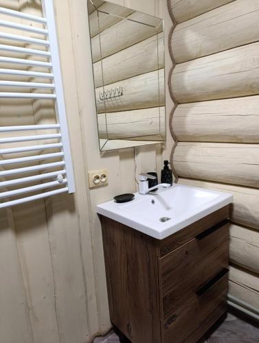 a bathroom with a sink and a mirror at Шепіт Карпат 2 in Synevyrsʼka Polyana