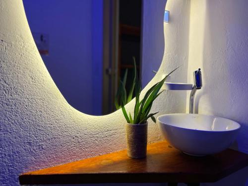 a bathroom with a sink and a potted plant at Caju com Mel Hospedagem in Moreré