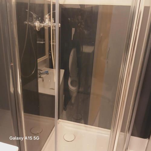 Maison de Mace في La Celle-sous-Gouzon: كابينة استحمام مزودة بمرحاض في الحمام