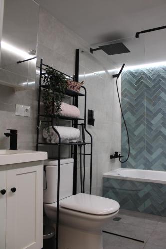 a bathroom with a toilet and a shower at Casa Calera in Nerja